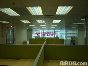 新誠裝修 專業(yè)施工，精準(zhǔn)報(bào)價(jià)，打造理想空間